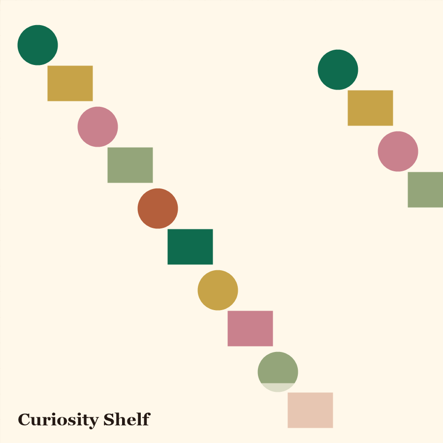 Curiosity shelf placeholder.